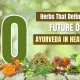 Ayurveda in healthcare